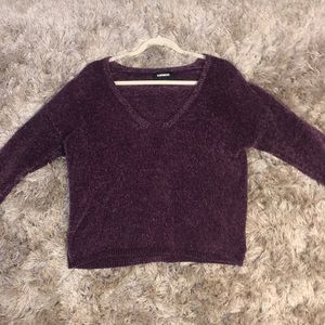 Express purple sweater
